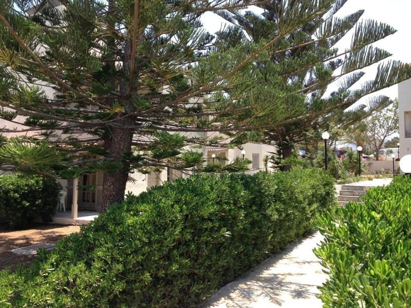 Panorama-Seaview Studios & Apartments Hersonissos  Exterior foto